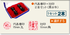 法人印２本セット(黒水牛)